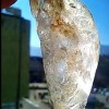 Natural Collector Beryl Crystal