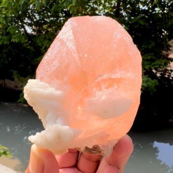 Exquisite Hot Pink Morganite on Albite - 426 gram