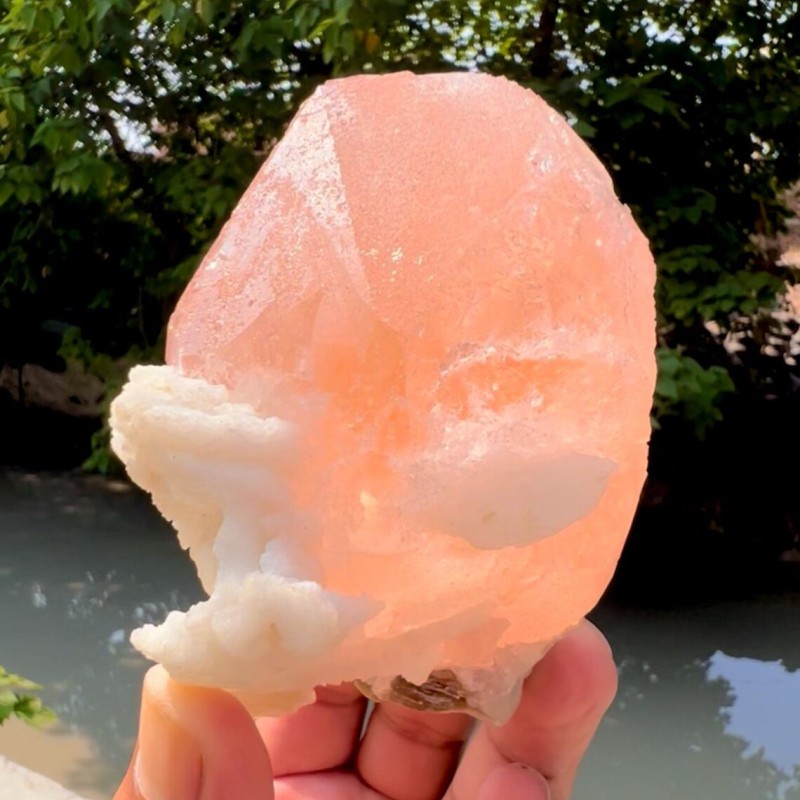 Exquisite Hot Pink Morganite on Albite - 426 gram